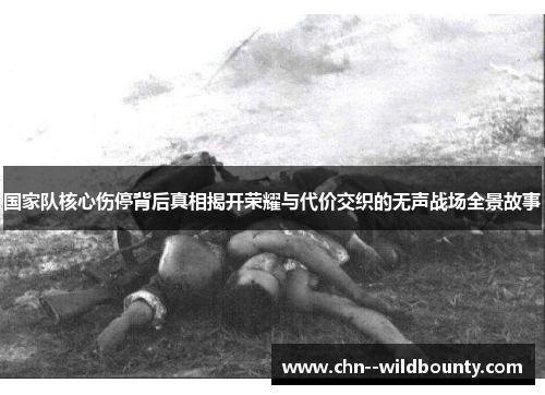 国家队核心伤停背后真相揭开荣耀与代价交织的无声战场全景故事