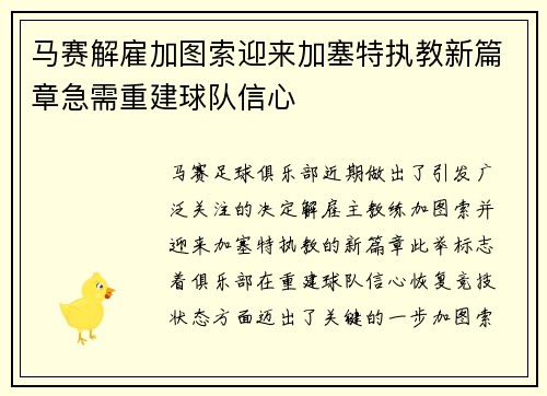 马赛解雇加图索迎来加塞特执教新篇章急需重建球队信心
