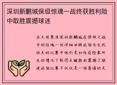 深圳新鹏城保级惊魂一战终获胜利险中取胜震撼球迷 深圳新鹏城保级惊魂一战终获胜利险中取胜震撼球迷