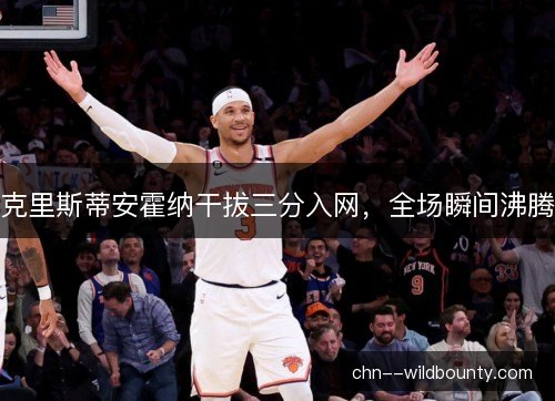 克里斯蒂安霍纳干拔三分入网，全场瞬间沸腾