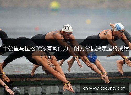 十公里马拉松游泳有氧耐力，耐力分配决定最终成绩