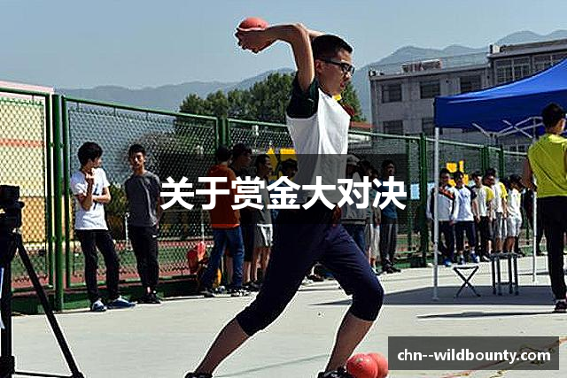 关于赏金大对决